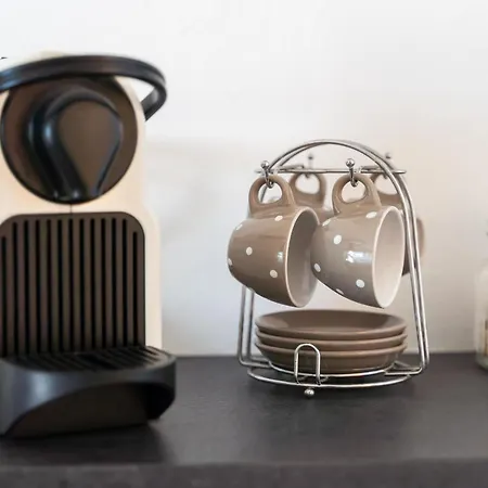 L'olivastro * كاستيلساردو