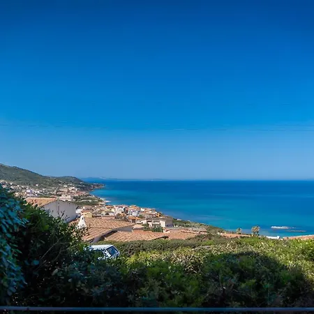 L'olivastro Castelsardo