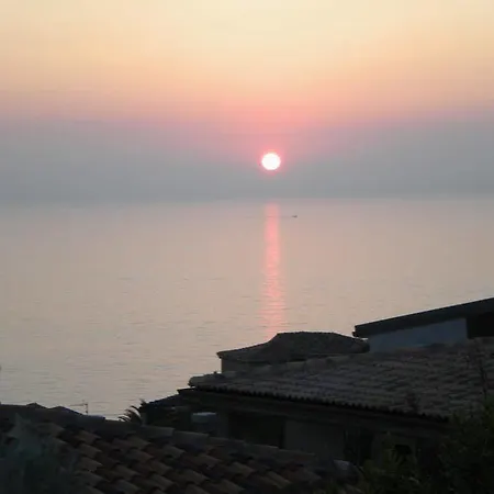 L'olivastro Castelsardo