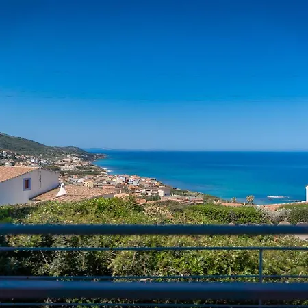 L'olivastro * Castelsardo