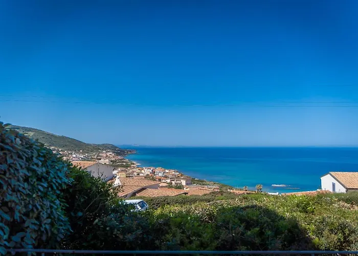 L'olivastro Castelsardo